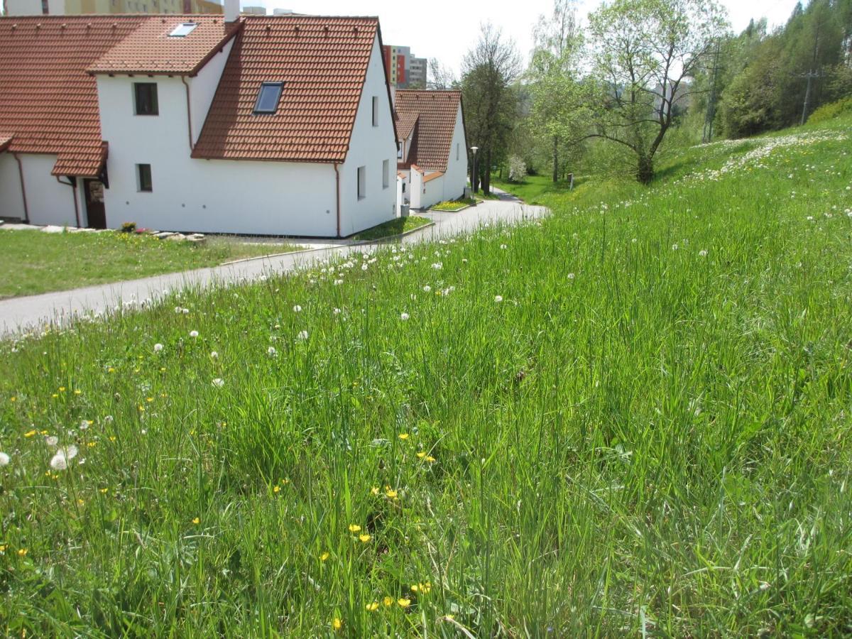 Apartmany U Prochazku Český Krumlov Eksteriør billede
